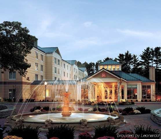 Hilton Garden Inn Las Cruces Eksteriør billede
